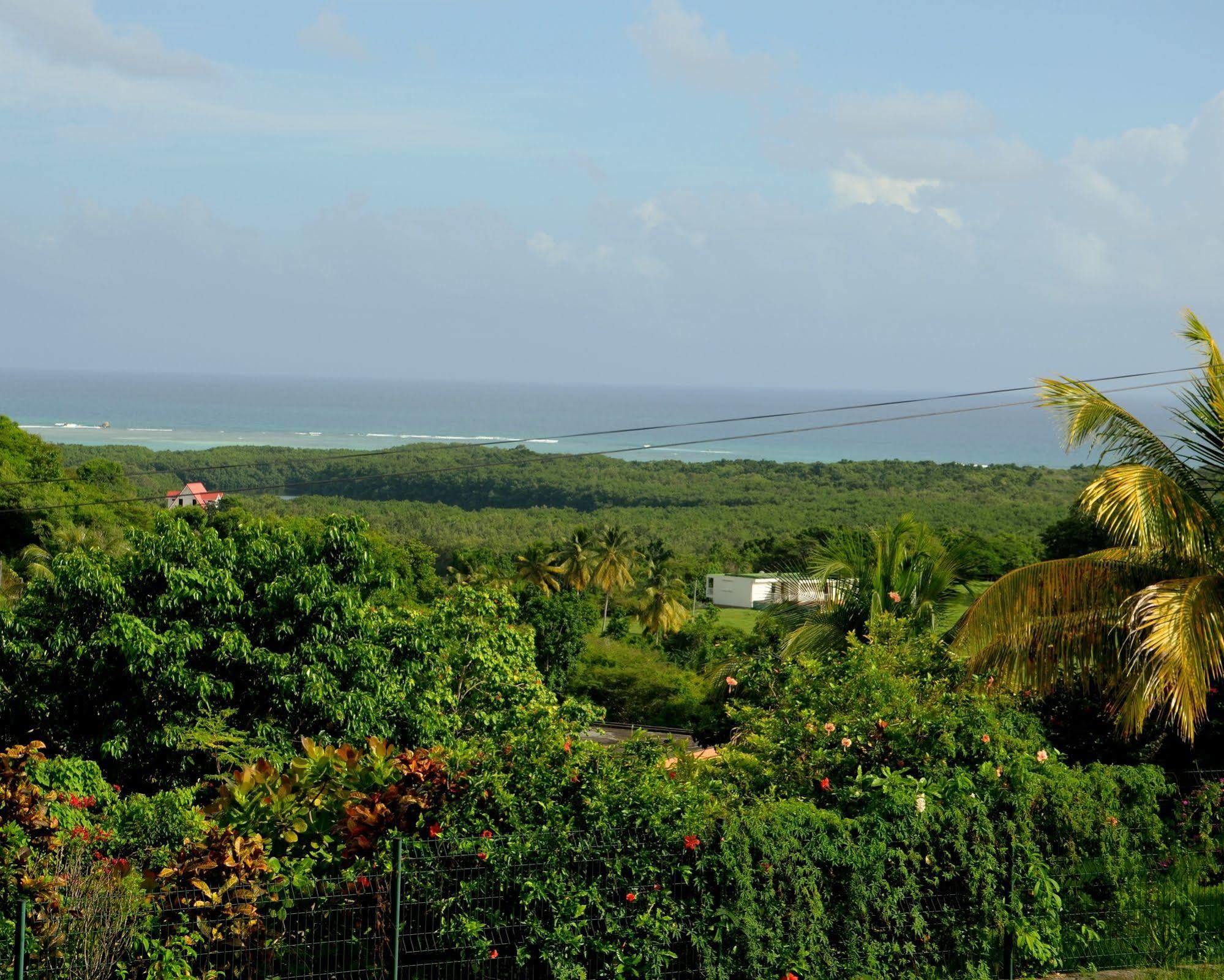 E.Gwada Hostel Le Gosier  Luaran gambar